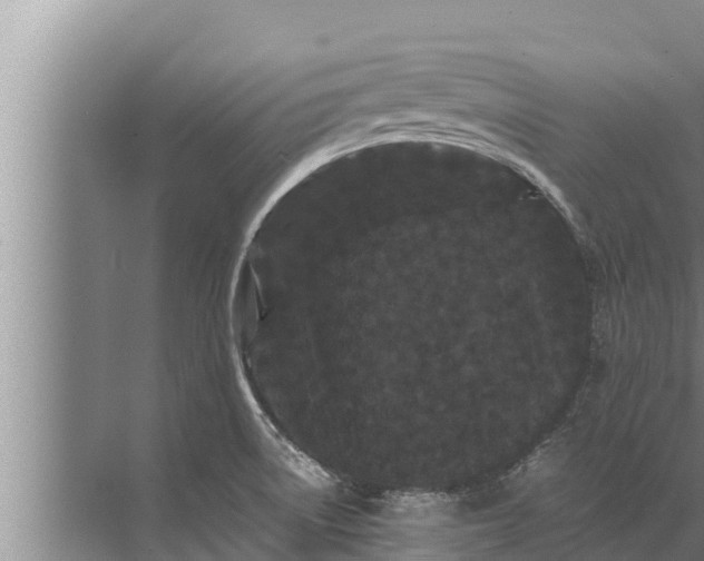 X0000072501522200607290052