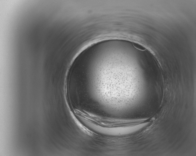 X0000072501523200607290052