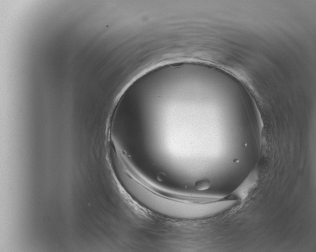 X0000072501524200607290052