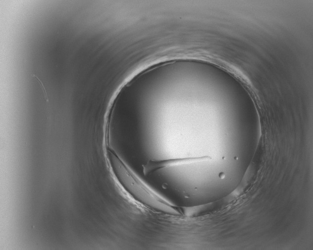 X0000072501528200607290052