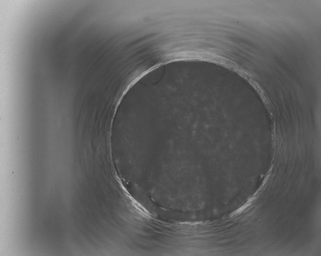 X0000072501529200607290052