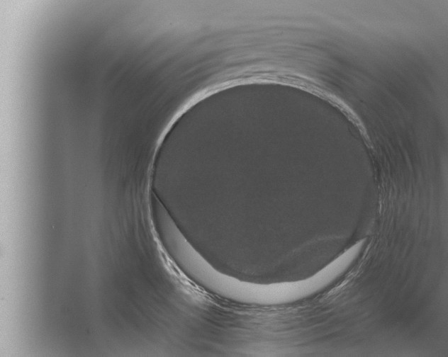 X0000072501530200607290052