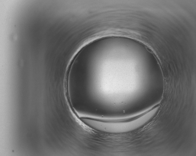 X0000072501531200607290052