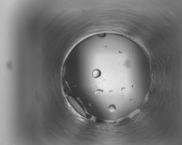 X0000072501532200607290052