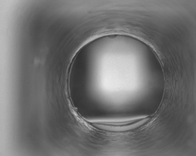 X0000072501534200607290052