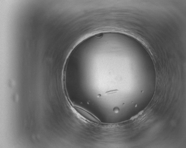 X0000072501535200607290052