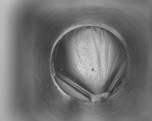 X0000072501536200607290052