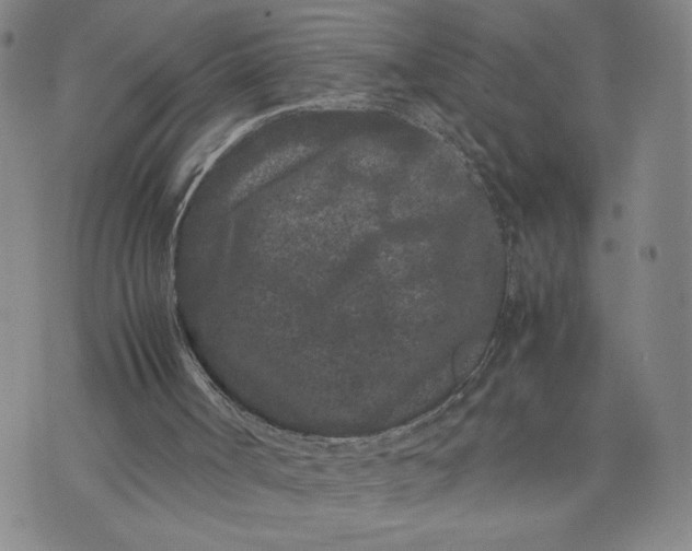 X0000072500002200608041453