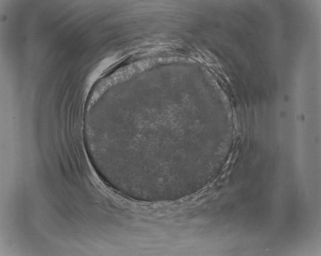 X0000072500003200608041453