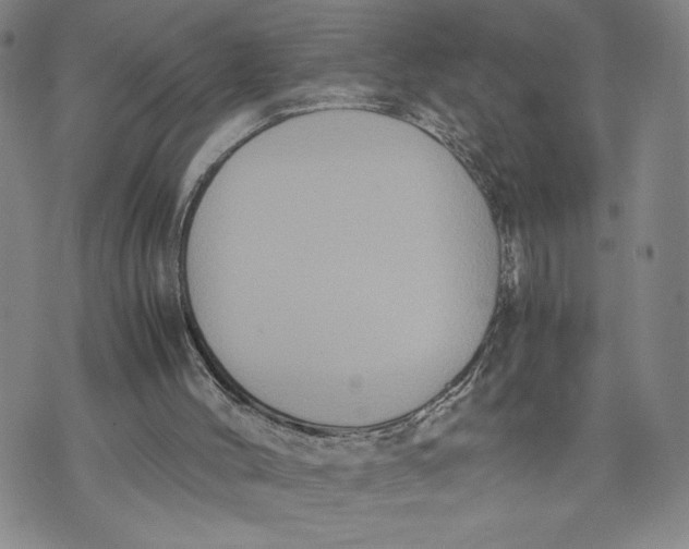 X0000072500004200608041453