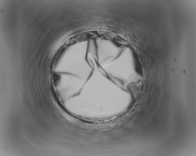 X0000072500005200608041453