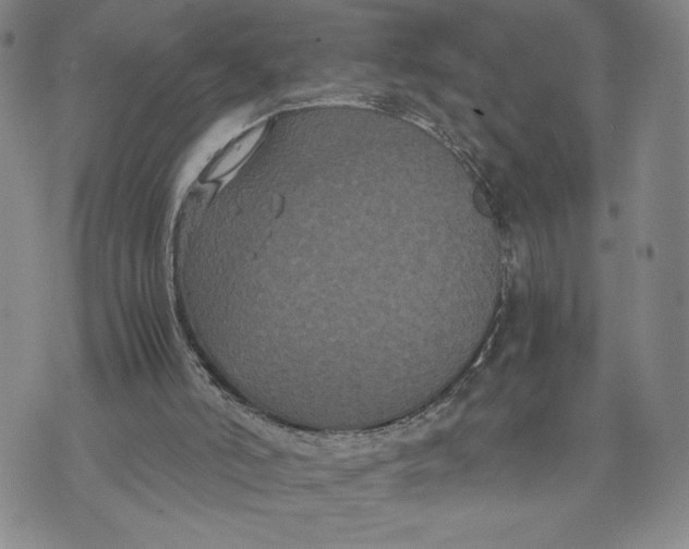 X0000072500006200608041453