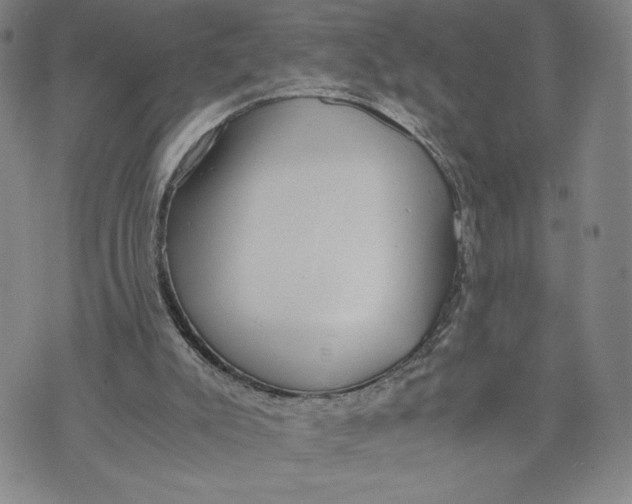 X0000072500007200608041453