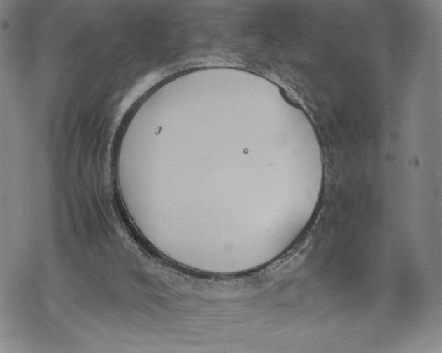 X0000072500008200608041453