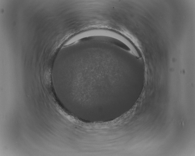 X0000072500009200608041453