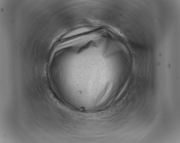 X0000072500010200608041453