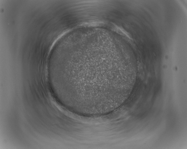 X0000072500012200608041453