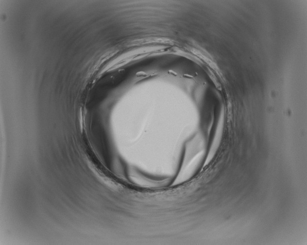 X0000072500013200608041453