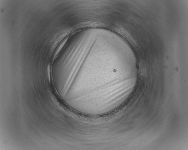 X0000072500014200608041453