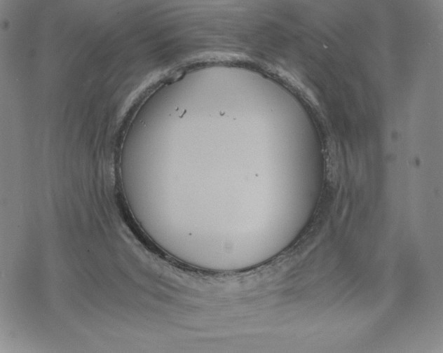 X0000072500015200608041453