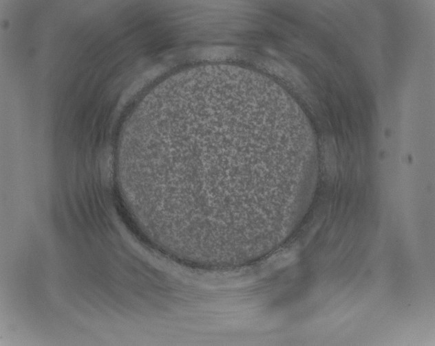 X0000072500016200608041453