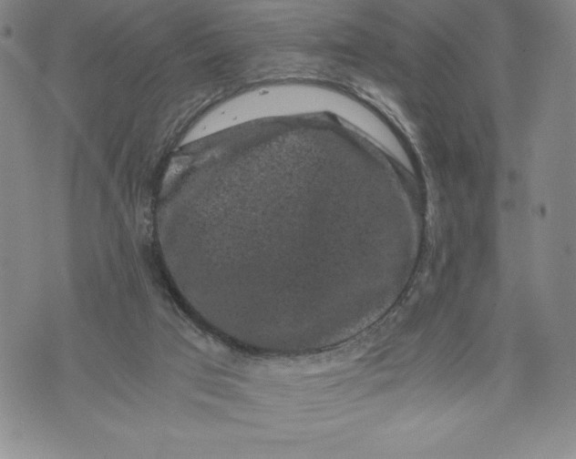 X0000072500017200608041453