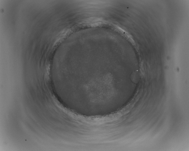 X0000072500018200608041453