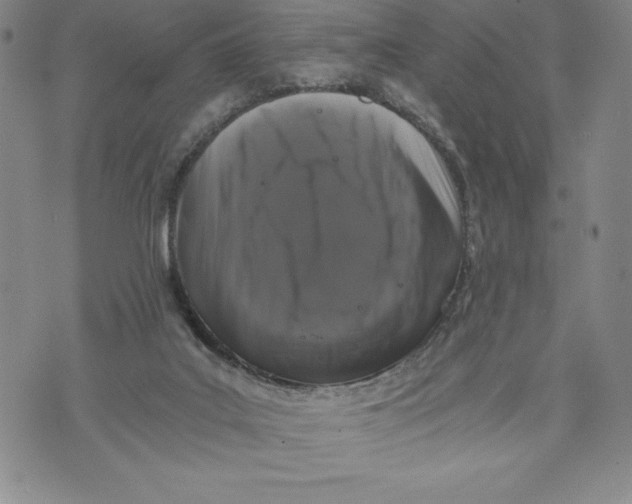 X0000072500019200608041453