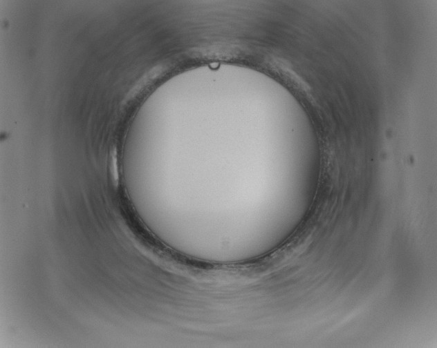 X0000072500020200608041452