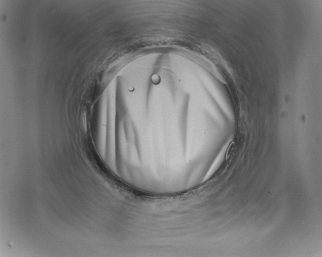 X0000072500021200608041452