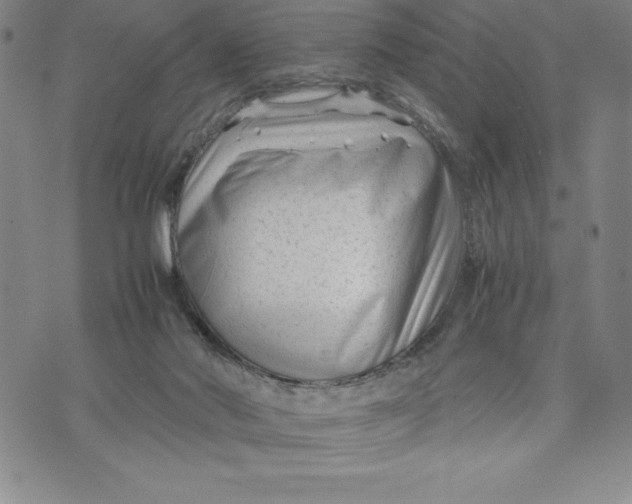 X0000072500022200608041452