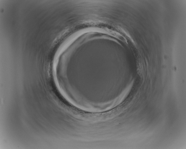 X0000072500023200608041452