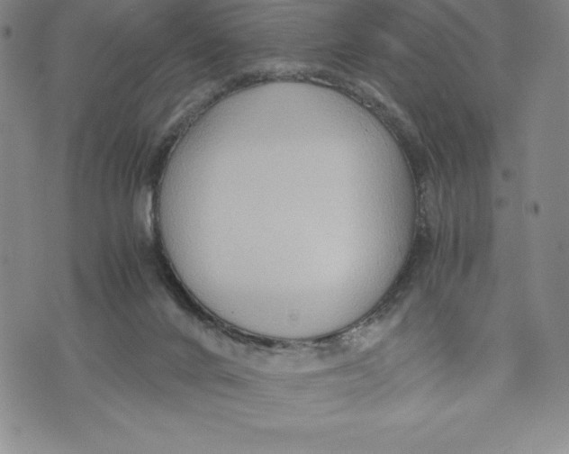 X0000072500024200608041452