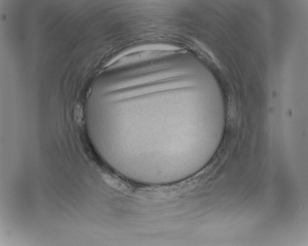 X0000072500025200608041452