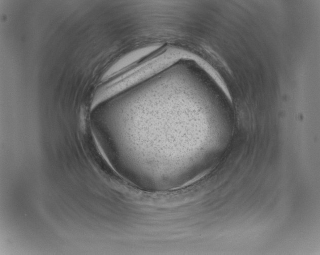 X0000072500026200608041452