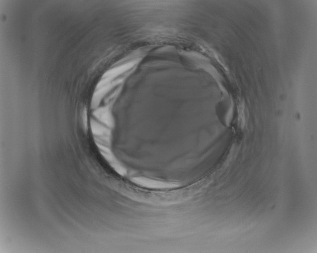 X0000072500027200608041452