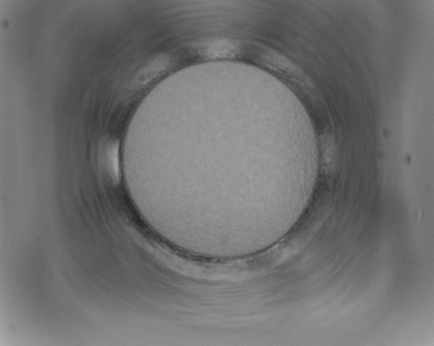 X0000072500028200608041452