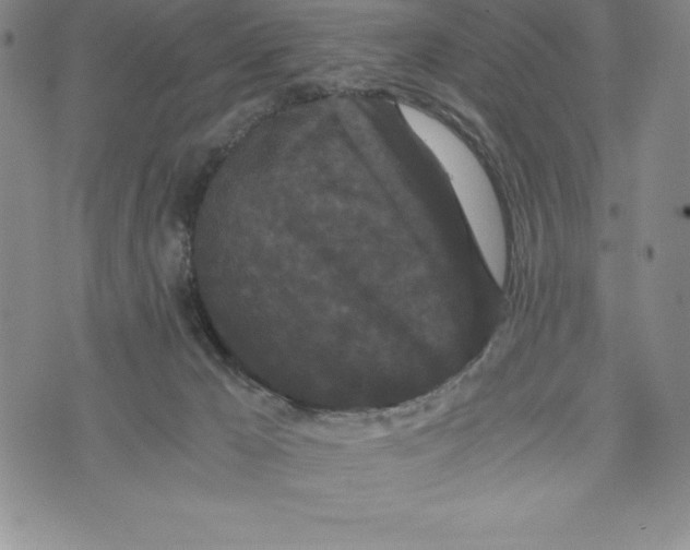 X0000072500029200608041452