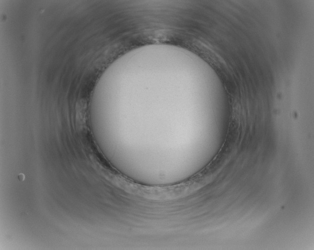 X0000072500030200608041452