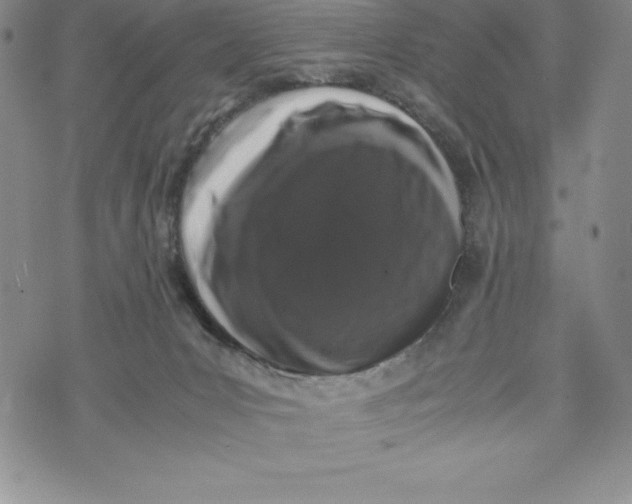 X0000072500031200608041452