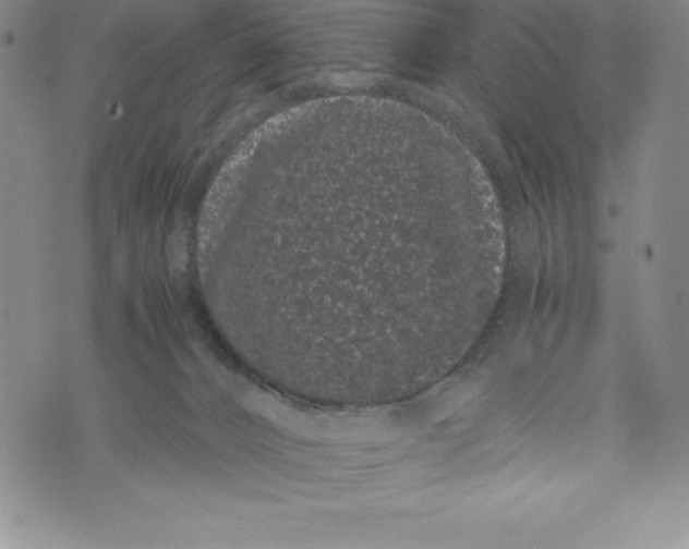 X0000072500032200608041452