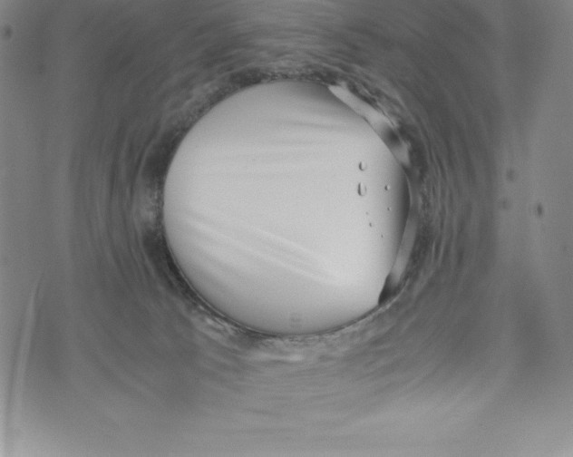 X0000072500033200608041452