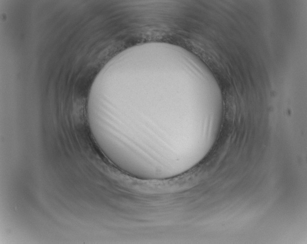 X0000072500034200608041452