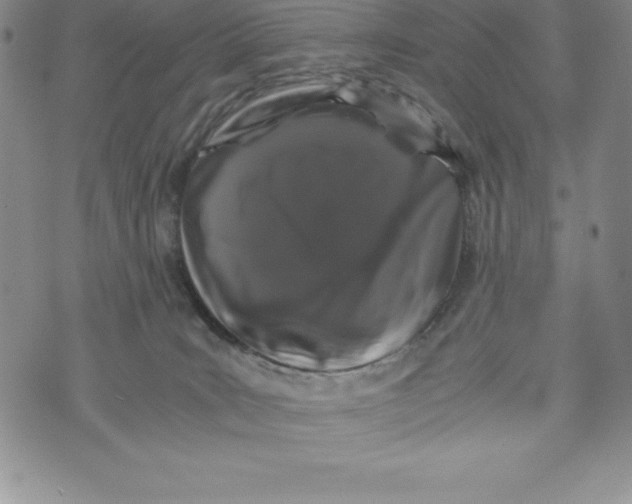 X0000072500035200608041452