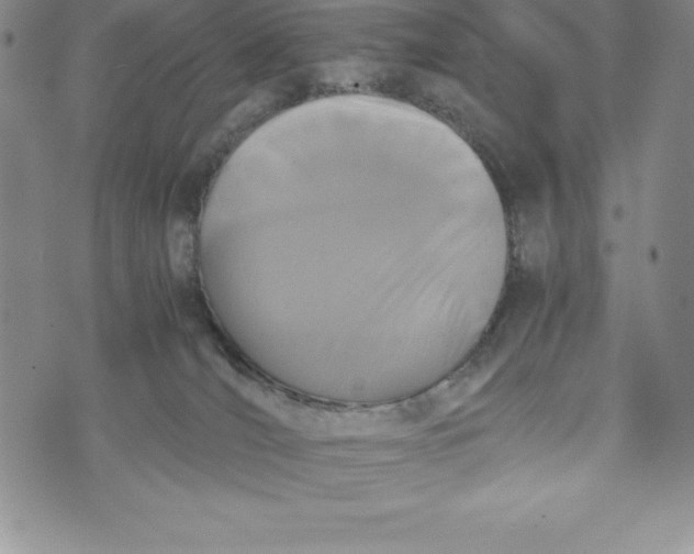 X0000072500036200608041452