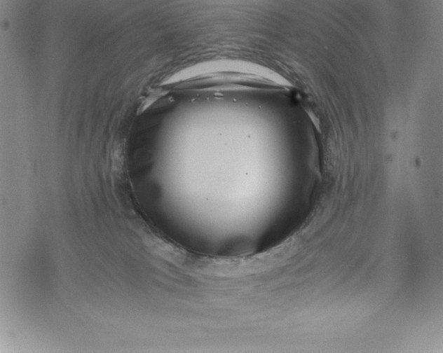 X0000072500037200608041452