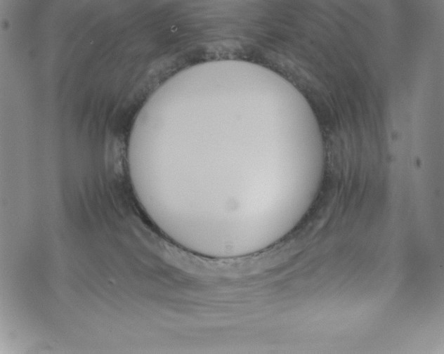 X0000072500038200608041452