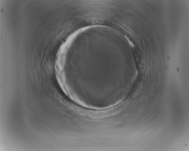 X0000072500039200608041452