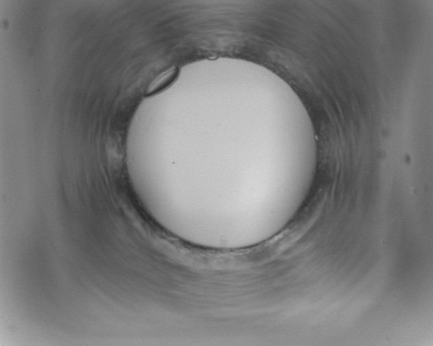 X0000072500040200608041452