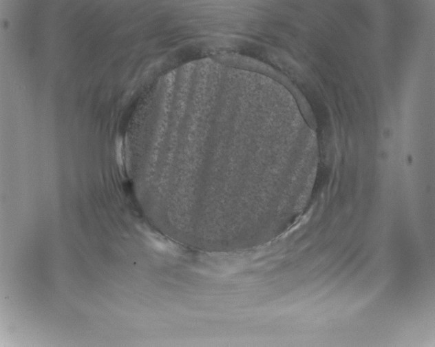 X0000072500041200608041452